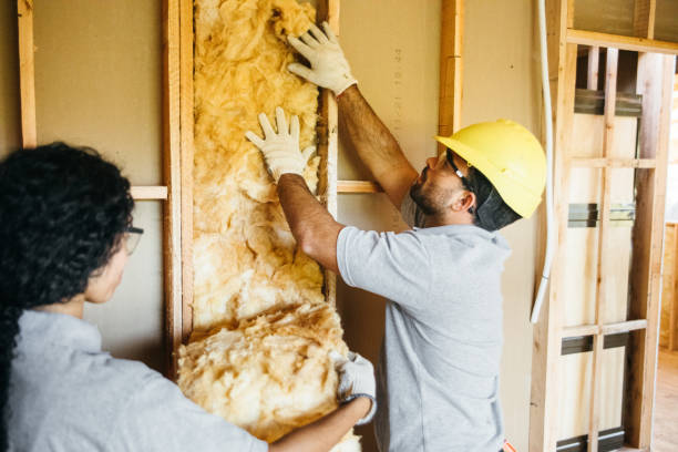 Types of Insulation We Offer in Irondale, GA